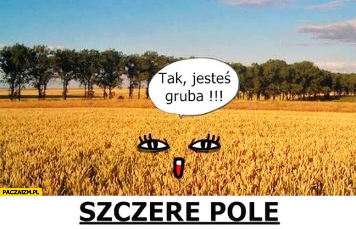 
    Szczere pole tak jesteś gruba