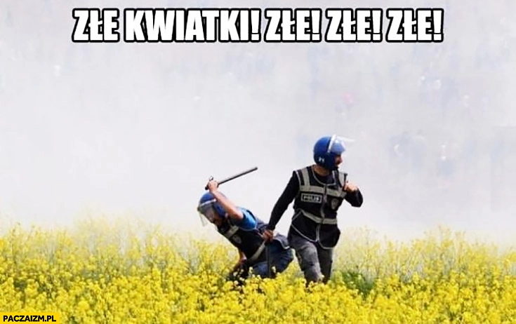 
    Złe kwiatki, złe, złe! Policjant bije pałuje kwiaty na łące