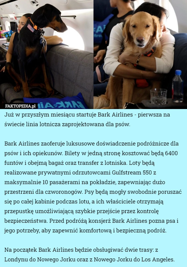 
    Już w przyszłym miesiącu startuje Bark Airlines - pierwsza na świecie linia