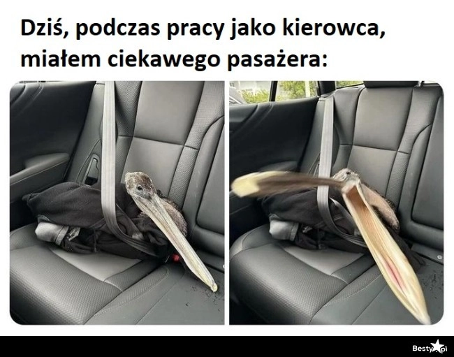 
    Ciekawe czy dał 5 gwiazdek 