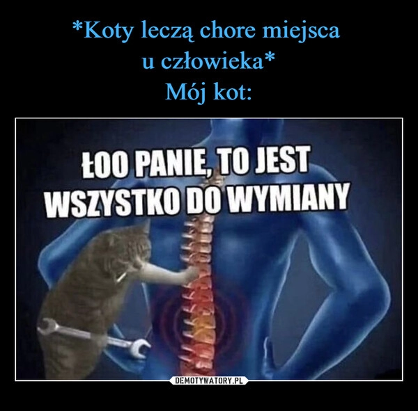 
    *Koty leczą chore miejsca 
u człowieka*
Mój kot: