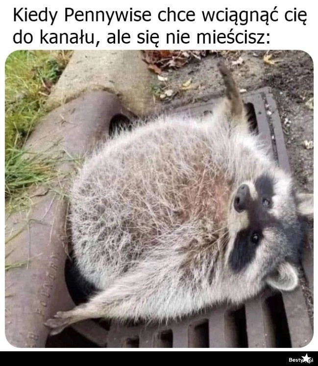 
    Tłuszczyk na coś się przydał 