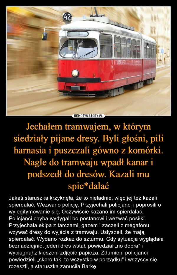 
    Jechałem tramwajem, w którym siedziały pijane dresy. Byli głośni, pili harnasia i puszczali gówno z komórki. Nagle do tramwaju wpadł kanar i podszedł do dresów. Kazali mu spie*dalać