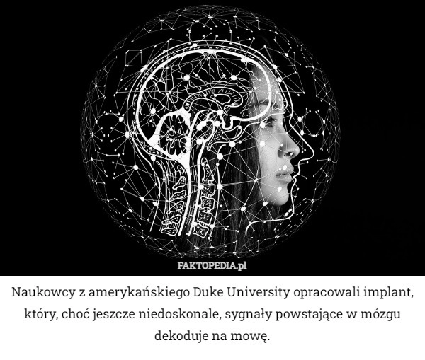 
    Naukowcy z amerykańskiego Duke University opracowali implant, który, choć