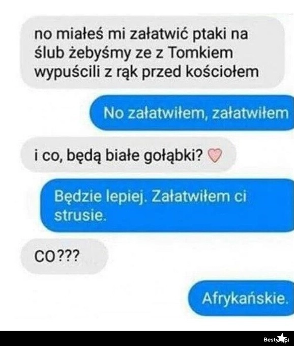 
    Ptaki na ślub 