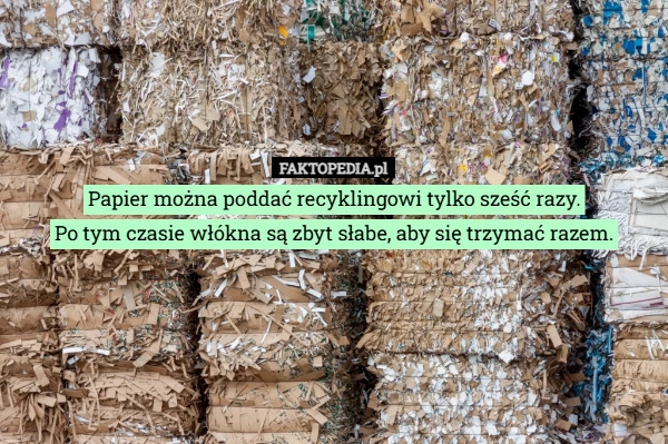 
    Papier można poddać recyklingowi tylko sześć razy.
Po tym czasie włókna