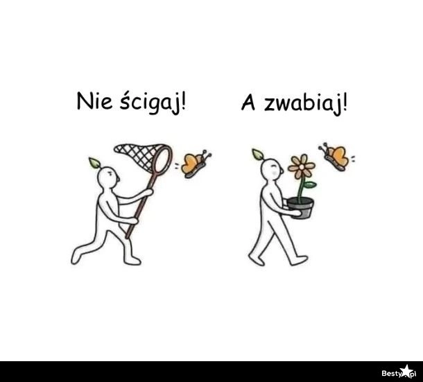 
    Nie ścigaj, a zwabiaj 