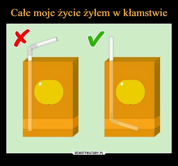 
    
Całe moje życie żyłem w kłamstwie 