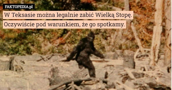 
    W Teksasie można legalnie zabić Wielką Stopę.
Oczywiście pod warunkiem,