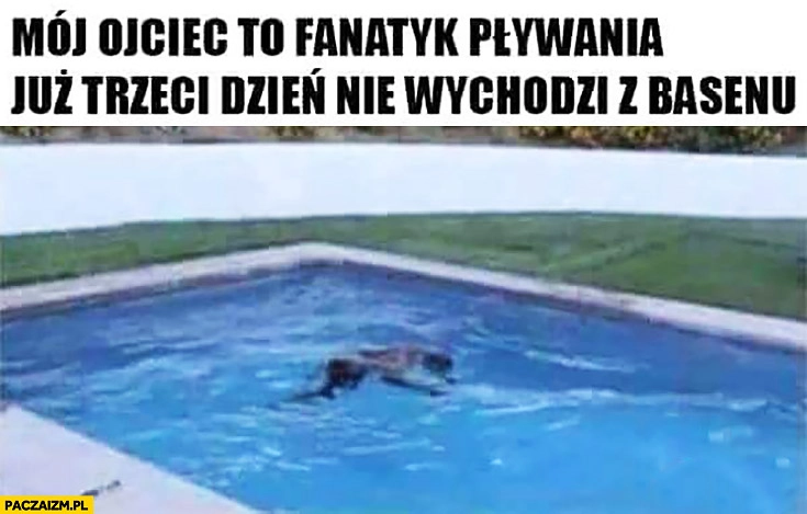 
    Mój ojciec to fanatyk pływania już trzeci dzień nie wychodzi z basenu