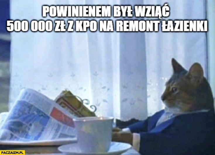 
    Kot powinienem był wziąć 500 tysięcy z KPO na remont łazienki