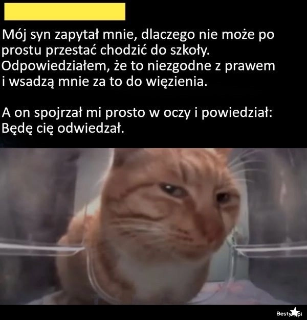 
    Proszę, jaki wyszczekany 