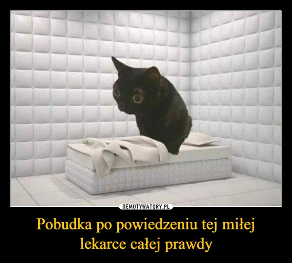 
    Pobudka po powiedzeniu tej miłej lekarce całej prawdy