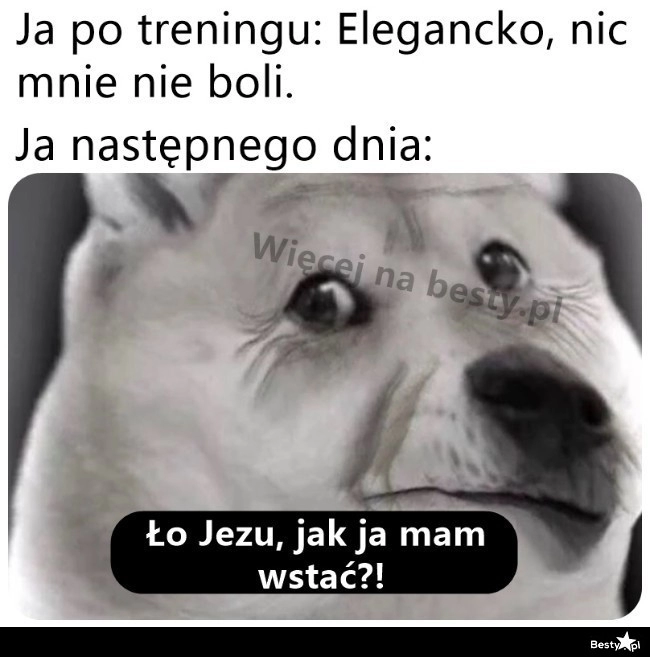 
    Po treningu 