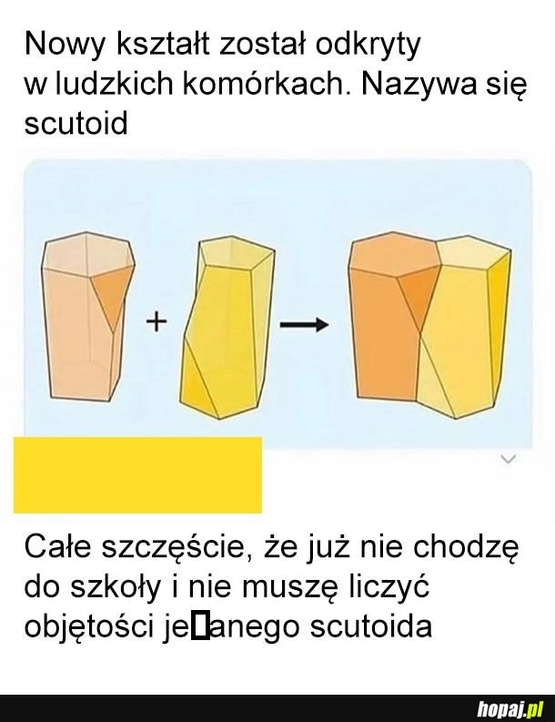 
    Scutoid