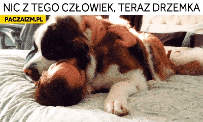 
    Nic z tego człowiek teraz drzemka