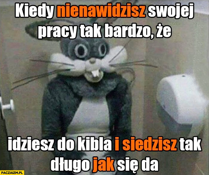 
    Kiedy nienawidzisz swojej pracy tak bardzo, że idziesz do kibla i siedzisz w nim tak długo jak się da królik