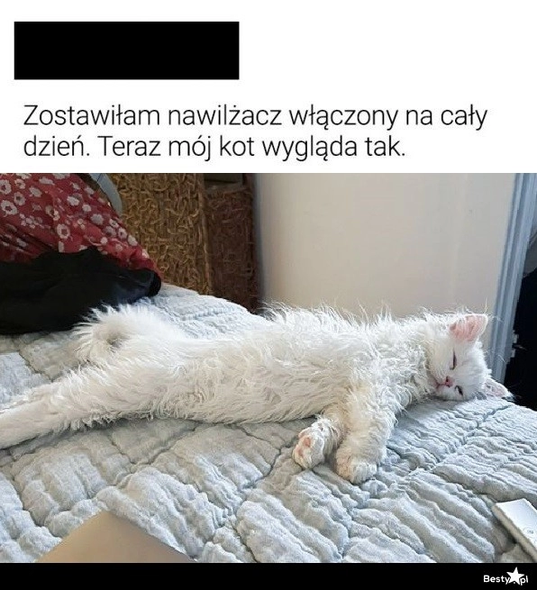 
    Nawilżacz 