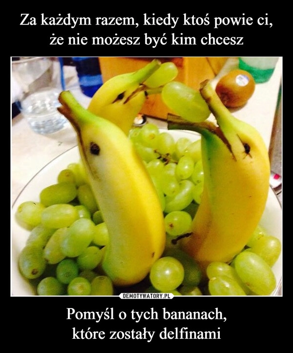 
    Za każdym razem, kiedy ktoś powie ci, że nie możesz być kim chcesz Pomyśl o tych bananach,
które zostały delfinami