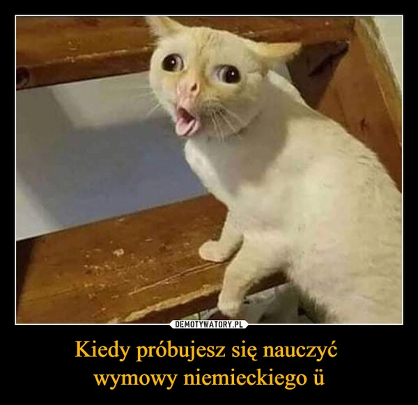 
    Kiedy próbujesz się nauczyć 
wymowy niemieckiego ü