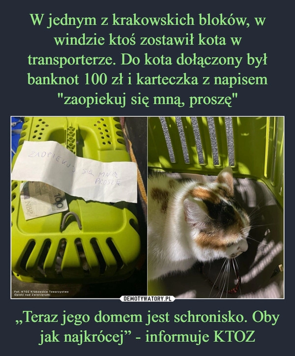 
    W jednym z krakowskich bloków, w windzie ktoś zostawił kota w transporterze. Do kota dołączony był banknot 100 zł i karteczka z napisem "zaopiekuj się mną, proszę" „Teraz jego domem jest schronisko. Oby jak najkrócej” - informuje KTOZ