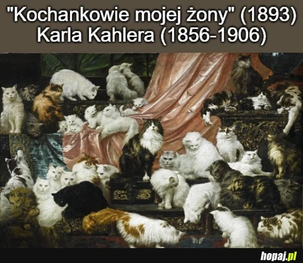 
    Kiedy masz kociarę za żonę