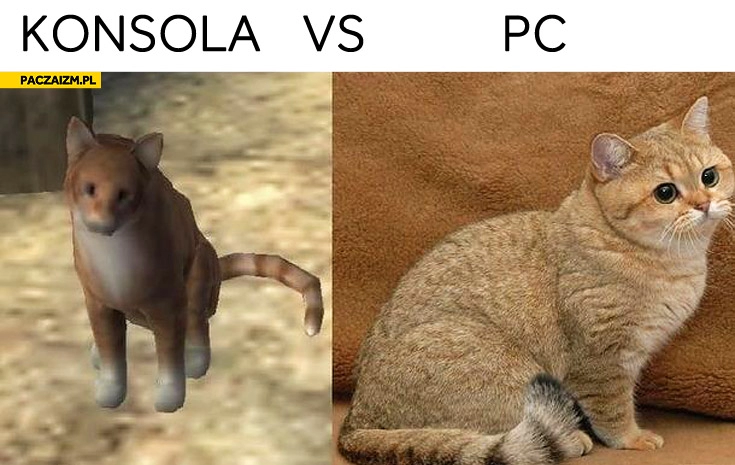 
    Kot konsola vs PC