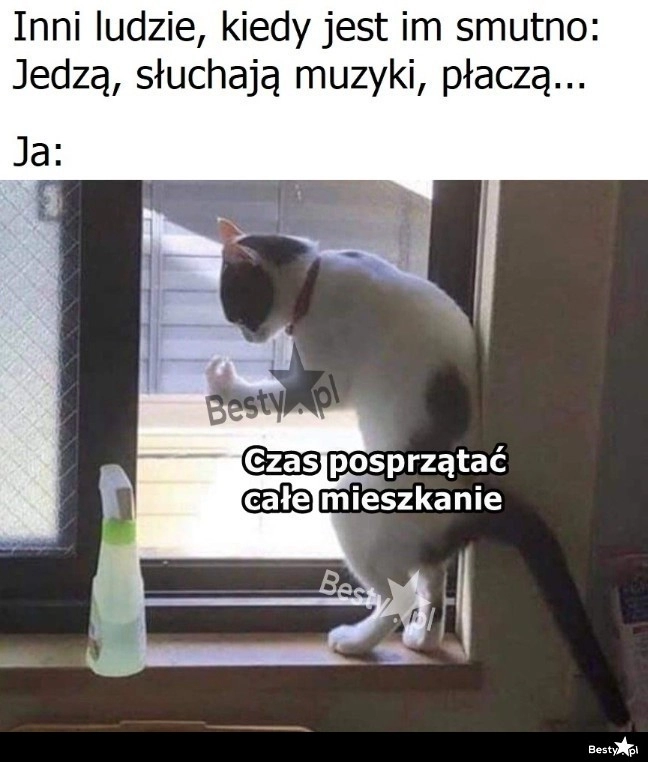 
    Szybka terapia 