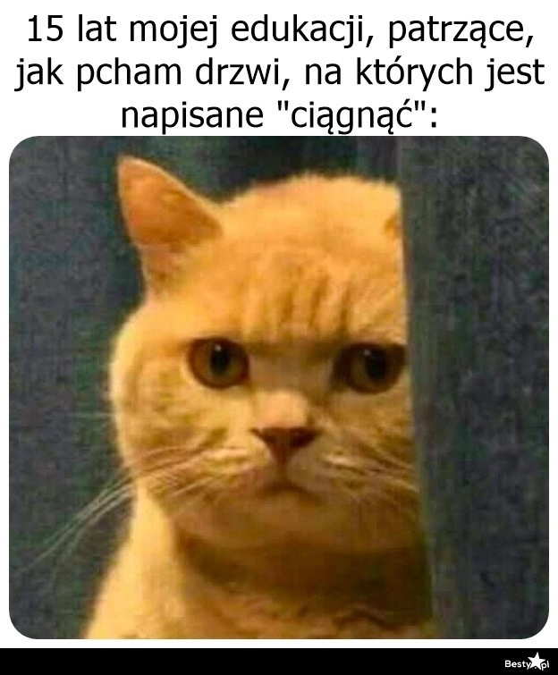 
    I po co to wszystko 