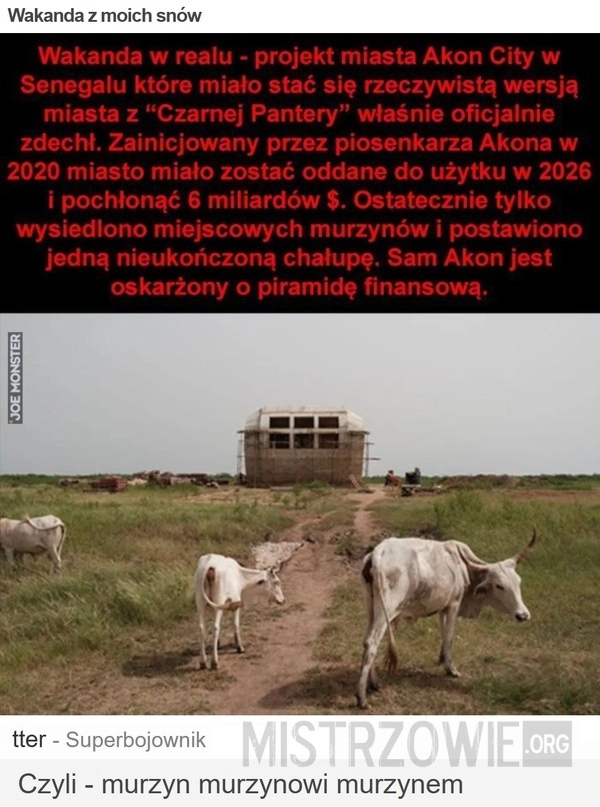 
    Wakanda z moich snów