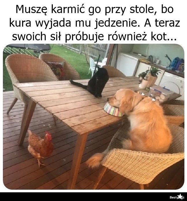 
    Chętnych nie brakuje 