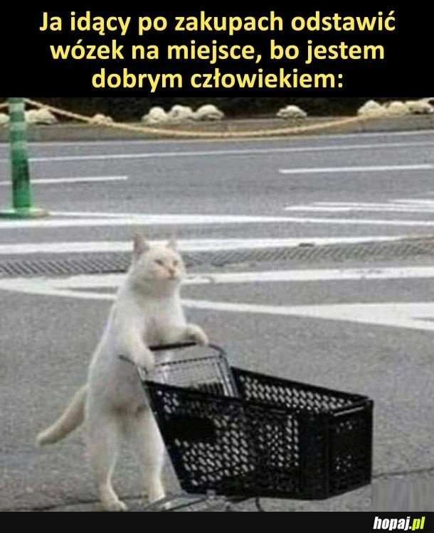 
    Tak robią porządni ludzie