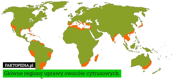 
    
			Główne regiony uprawy owoców cytrusowych.					