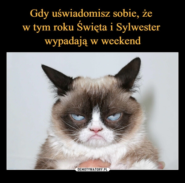 
    
Gdy uświadomisz sobie, że
w tym roku Święta i Sylwester
wypadają w weekend 