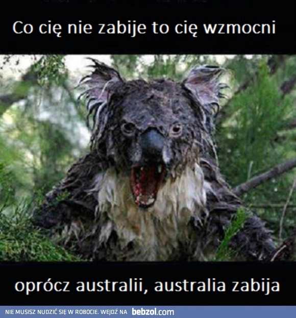 
    Co cię nie zabije, to cię wzmocni