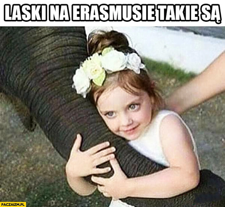 
    Laski na Erazmusie takie są dziewczynka dziecko trzyma trąbę słonia