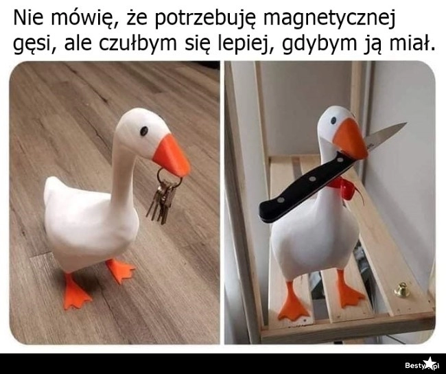 
    Magnetyczna gęś 