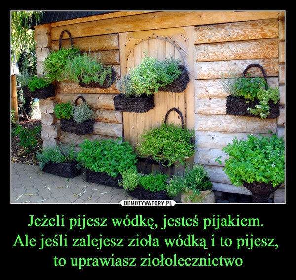 
    Jeżeli pijesz wódkę, jesteś pijakiem. 
Ale jeśli zalejesz zioła wódką i to pijesz, 
to uprawiasz ziołolecznictwo