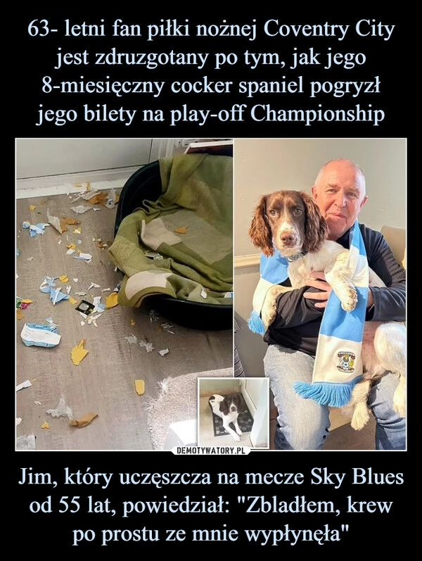 
    63- letni fan piłki nożnej Coventry City jest zdruzgotany po tym, jak jego 8-miesięczny cocker spaniel pogryzł
jego bilety na play-off Championship Jim, który uczęszcza na mecze Sky Blues od 55 lat, powiedział: "Zbladłem, krew po prostu ze mnie wypłynęła"