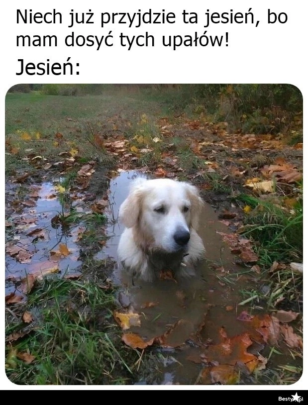 
    Jesień 