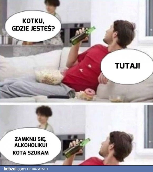 
    Kotku, gdzie jesteś?