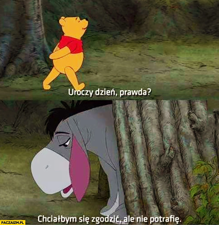 
    Uroczy dzień, prawda? Chciałbym się z Tobą zgodzić, ale nie potrafię. Kubuś Puchatek Kłapouchy