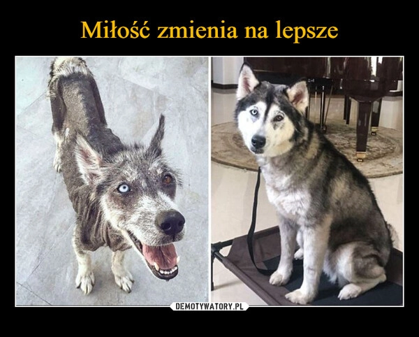 
    Miłość zmienia na lepsze