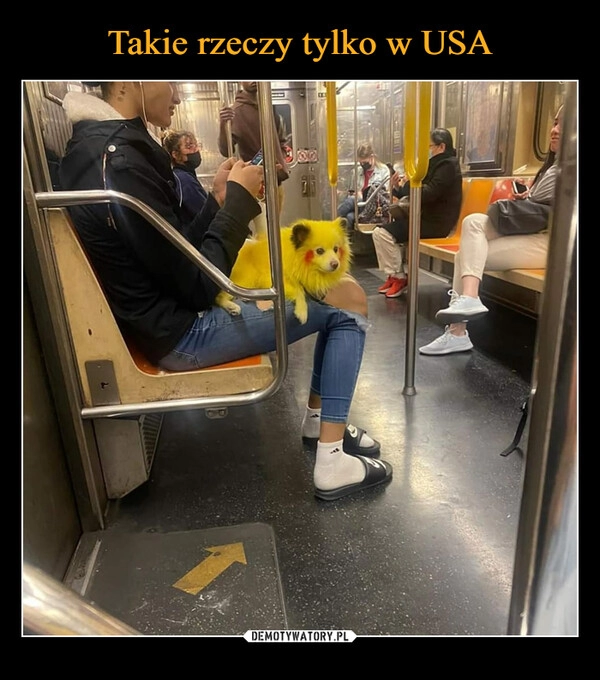 
    Takie rzeczy tylko w USA