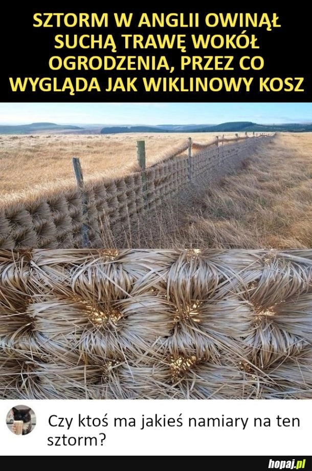 
    Spoko wyszło