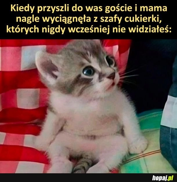 
    Zdziwko