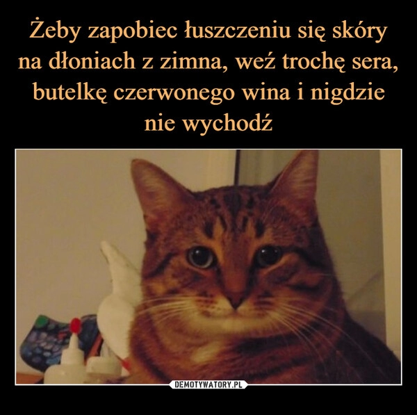 
    Żeby zapobiec łuszczeniu się skóry na dłoniach z zimna, weź trochę sera, butelkę czerwonego wina i nigdzie nie wychodź