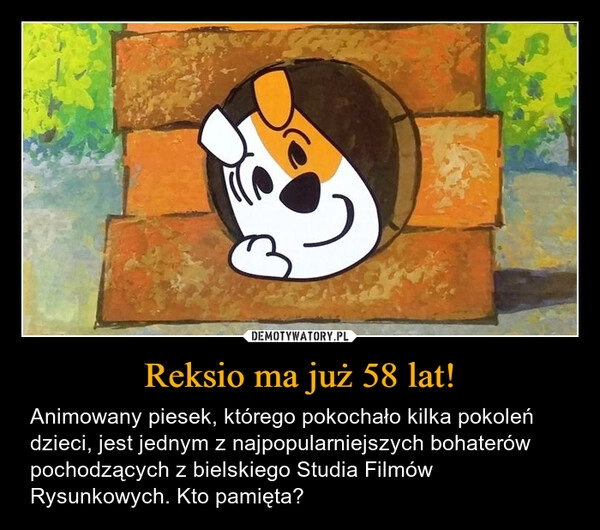 
    Reksio ma już 58 lat!