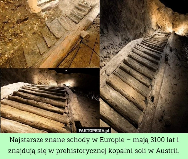 
    
			Najstarsze znane schody w Europie – mają 3100 lat i znajdują się w prehistorycznej...					