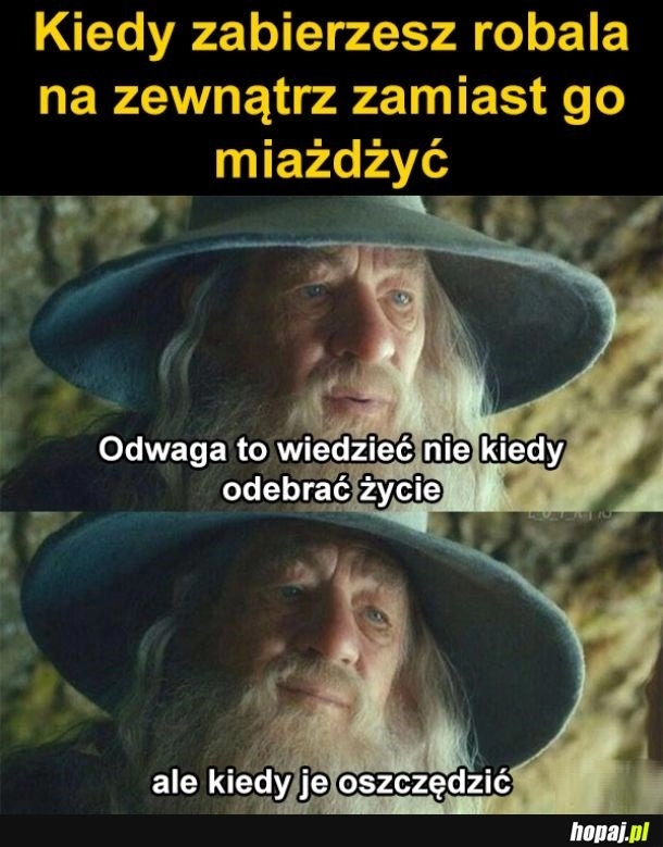 
    Ratownik życia